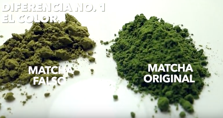 Té verde vs. Matcha ¿Cuál es la verdadera diferencia?